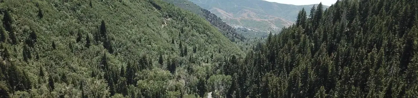 Bear Canyon Campground