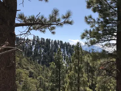 Valeyermo, San Gabriel Mountains (51000697890)
