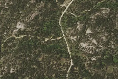 Harris Park Camp 1