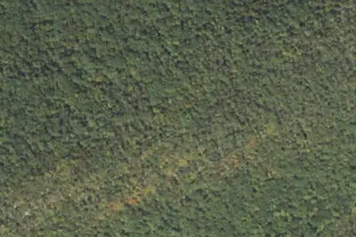 Camp site