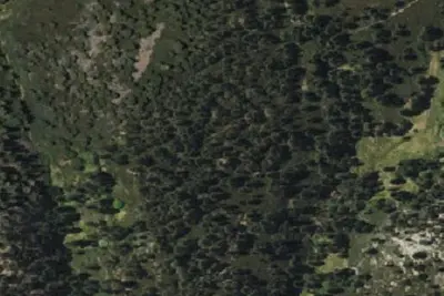 Camp site