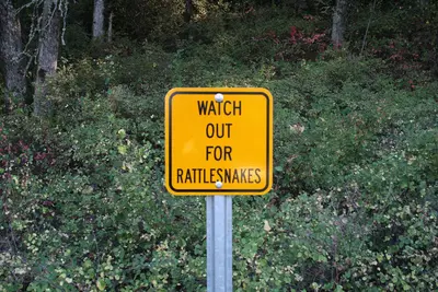 Rattlesnakes in Mermaloose - panoramio