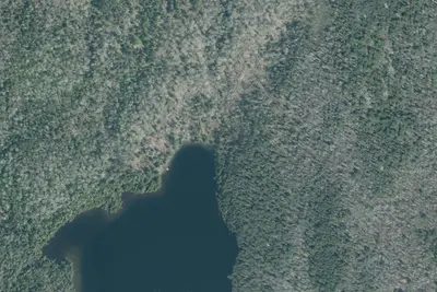 Gorrie Lake - 4
