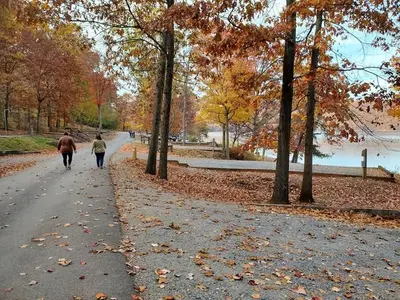 Seven Points- Senoia Camp waterfront in the fall
