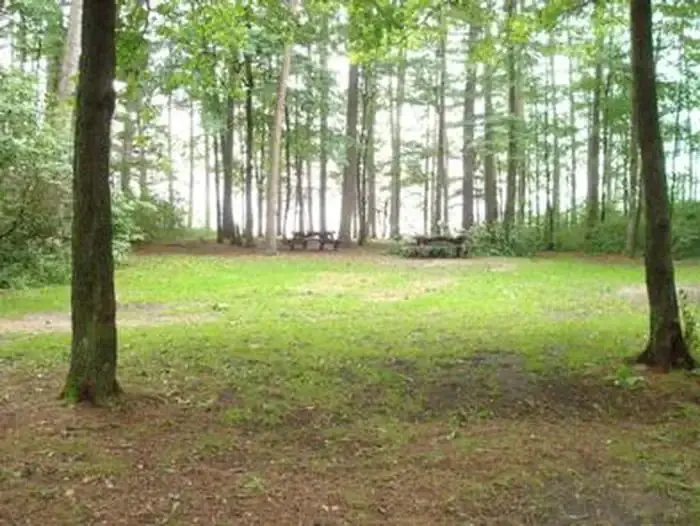 Winnie campground