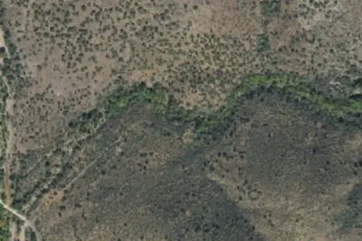 Juniper Dispersed Camping Area