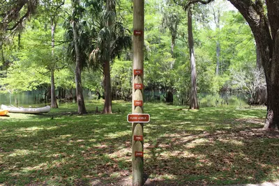 Flood Levels, Manatee Springs State Park