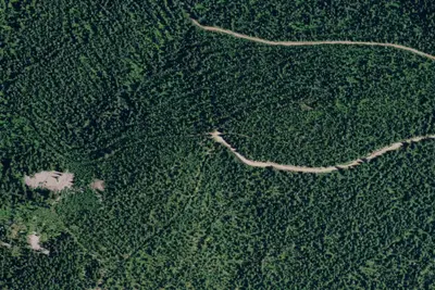 Rd 215 Site 16