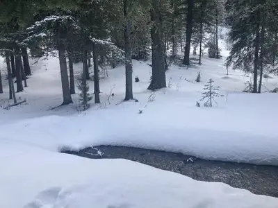 Creek in the winter