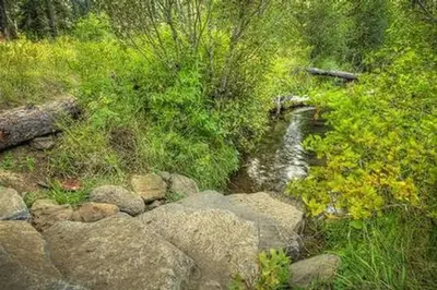 Allen springs campground4