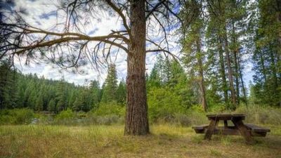 Allen Springs Campground
