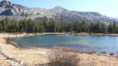 Tioga Lake - panoramio