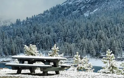 It's no Picnic, Yosemite National Park 2015 (31456679922)