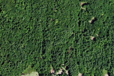 North Tent site