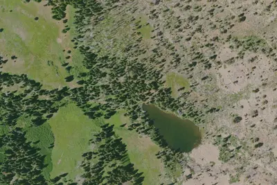 Camp site