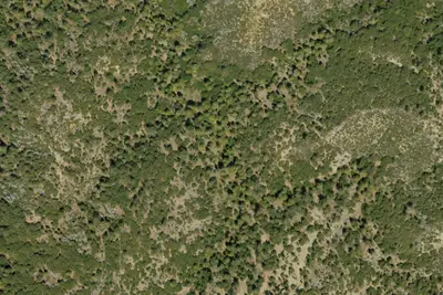 Upper Bear Camp
