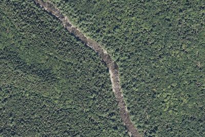 Katahdin Esker Campsite