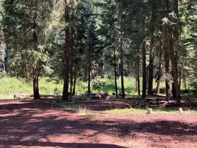 Group Camp