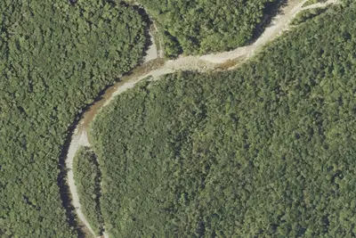 Franconia Brook Tentsite