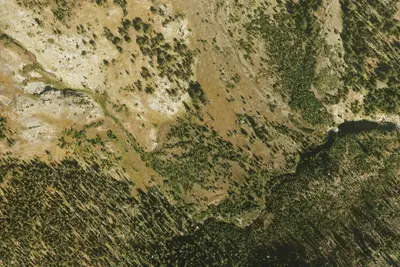 Camp site