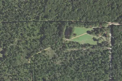 Coon Hollow