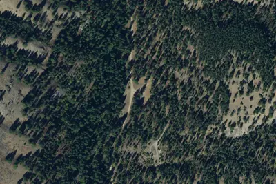 Fourth of July Camping Area