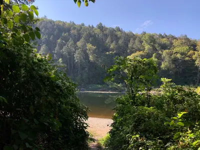 2024-09-20 10 29 43 View across the Delaware River from Peter's Campsite 13 at Wallpack Bend in the Delaware Water Gap National Recreation Area on the border of Walpack Township, New Jersey and Middle Smithfield Township, Pennsylvania