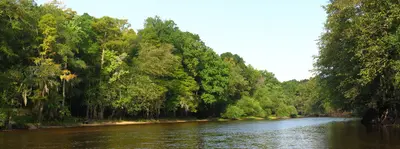 Weeks Landing - panoramio