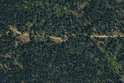 Camp site
