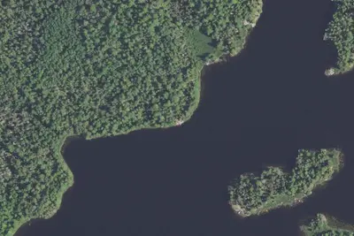 Camp site (USFS)