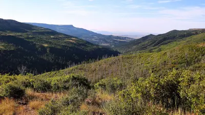 View Sugarite Canyon New Mexico 2024