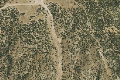 Camp site