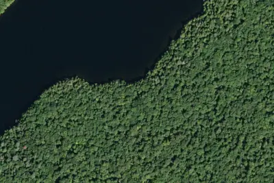 Camp site