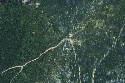 Fs Road 2667 (Roman Nose Access)