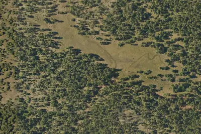Camp site