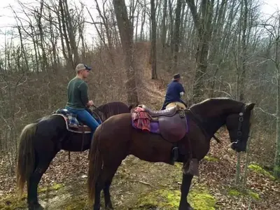 German Bridge equestrian trails are nestled within Dewey Lake Wildlife Management Areas.  These horse riding trails are 18 miles of pathway located on the upper waters of Dewey Lake near the German Bridge Camp Ground.  Trails include benches and hitch post throughout the extensive trails.  These are picturesque mountain trail that often have a lake view.