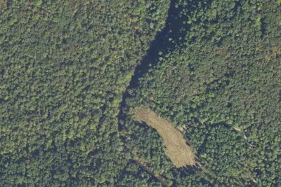 Camp site