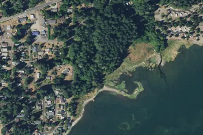 Cascadia Marine Trail Campsite - Belfair State Park