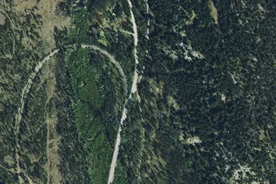 U.S. Forest Service Site 1
