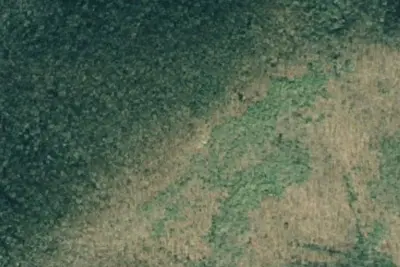 Camp site