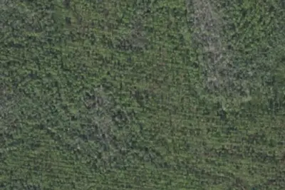 Twin Poles