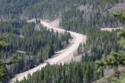 The long and winding road (26438547342)