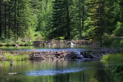 K-Country Beaver Ponds