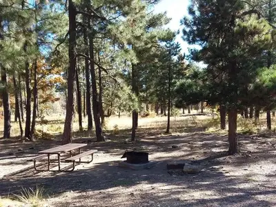 Site 01