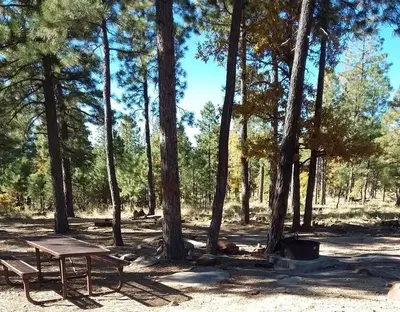 Site 16