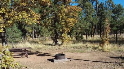 Mogollon Rim Campground
