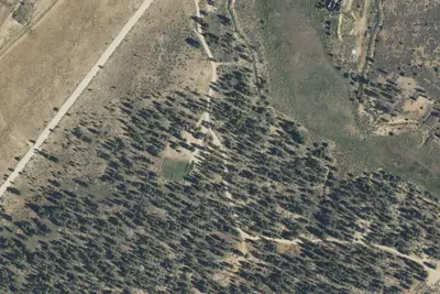 Daves Hollow Dispersed Camping