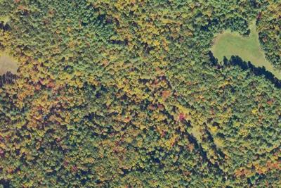 Camp site