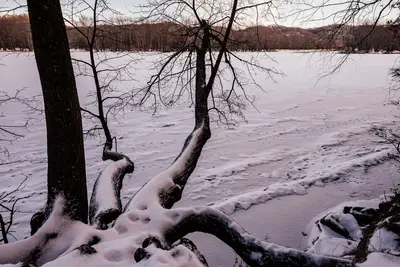 Frozen St. Croix River - William O'Brien State Park, Minnesota (28425690459)