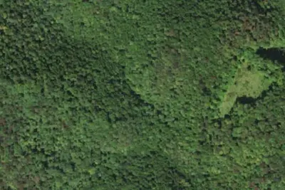 Camp site